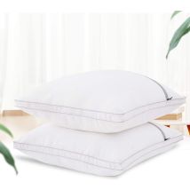 Freosen Set 2 Cuscini Voluminosi 60x60 Cm Bianco - Morbidi E Confortevoli - Antiacaro E Anallergici