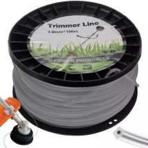 Autres Outils De Jardin Motorisés Bigstren Reinforced Square Ligne 3mm 100m