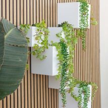 Jardinera Decorativa Cuadrada De Pared Wally. Medidas 18x18x18 Cm. Fabricado En España