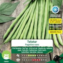 Zwerggrüne Bohnensamen – Hochwertige Zwergmungbohnensamen – Praktischer Maxi-Beutel für Gartenbau