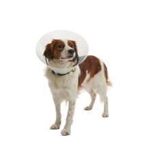 Kruuse Collar Isabelino Transparente Buster Clic, 20 Cm, Perros De 15 A 25 Kg, 10 Uds