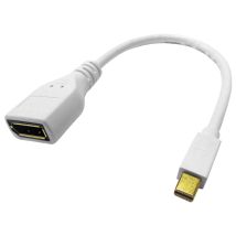 Adattatore Mini Dp-dp 4k M/f 3840x2160 @30hz Con Cavo 0,15mt