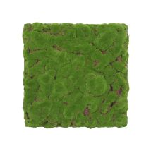 Jangal - Modular Wall Akustik 3d Paneele 520 X 520 Mm Forest Green Bulk Design Moos Kunst Pflanzwand Moospaneele