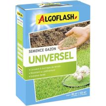 Semi Algoflash Universal 2 Kg Prato Resistente