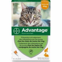 Advantage 40 - 4 Pipettes Antiparasitaires - Pour Chat Et Lapin De Moins De 4kg