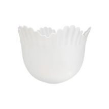 Tulipa In Cristallo Opaco Andra 16×12,5 cm Con Apertura Di 4 cm