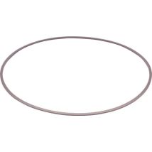 Anello Di Supporto Zf 0750112095