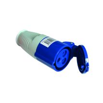 Scheda Femmina Cee 17