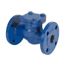Roth - Valvola Di Ritegno A Clapet Orizzontale In Ghisa Serie Scv-50 Pn16 Dn50 Ambra Water