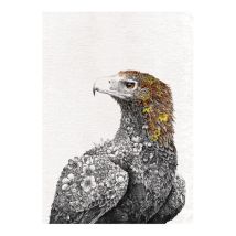 Maxwell & Williams Marini Ferlazzo Birds Paño De Cocina Con Diseño De Águila Audaz Australiano De 100% Algodón, 50 X 70 Cm – Blanco