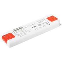 Yingjiao Ysl30f-1202500 Driver De Led 30 W 2.5 A 12 V 1 Pc(s)