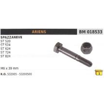 Sicherheitsstift M6x39mm Schneepflug Ariens St 520 - 524d 724d 826d