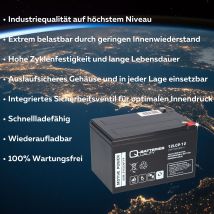 Quality Batteries - Akku Kompatibel 12lcp-12 12v - 13ah Für Golf Caddy E Trolley Agm Blei Qb