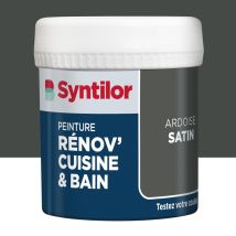Probador De Pintura Para Muebles Syntilor Renov' Color Pizarra Satinada Para Cocinas Y Baños, 0,075 L Syntilor