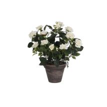 Rosier Blanc Pvc Avec Pot Couleur 11.5cm. 33x25cm – 33x25cm • Blanc – Gris