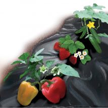 Film Nero Basic 150x500cm – Paesaggio – Barriera contro le erbacce – 30 microns – Primos
