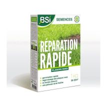 Semillas De Césped - Reparación Rápida - Con Recubrimiento Protector - Alta Calidad - Hasta 50m² - 1kg - Bsi