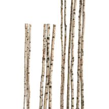 Birkenstamm 180 Cm Ø 2-4 Cm Birkenholz Birke Deko Holz