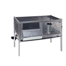 Gabbia Etruria per svezzamento conigli – 55x102x57 cm – gambe corte – abbeveratoio e mangiatoia inclusi – CONTROFRATELLI