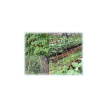 Red De Soporte Para Hortalizas H200 Cm 1000 M Malla 150×170 Mm – Sostengreen