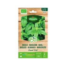 Jardín Bio Semillas De Albahaca Grand Vert Sobre 1 Gr - Vilmorin