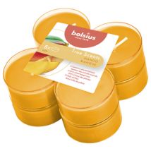 Velas Perfumadas Maxi Light De Bolsius (8 Unidades), Aromas Auténticos, Mango