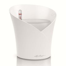 Maceta Lechuza Blanco