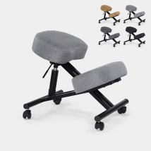 Sedia Ergonomica Posturale Sgabello Svedese Tessuto Balancesteel Lux - Grigio