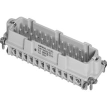C146 10a024 002 1-1 Stifteinsatz Heavymate C146 Gesamtpolzahl 24 + Pe 1 St. - Amphenol
