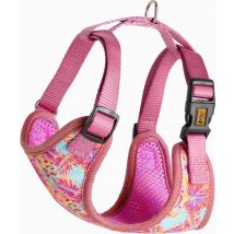 Dingo Imbracatura Jungle Taglia M Comfort Senza Pressione