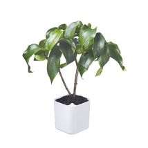 Eden Plantenpot Wit 20x20x21 Cm - 5 L Orthex 54110 (6)