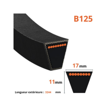 Cinghia trapezoidale liscia B125 – 17mm – 3244mm – Mitsuboshi