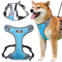 Harnais D'Entraînement Bleu Astro Pour Promener Les Chiens, Taille L