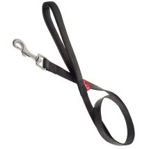Guinzaglio In Nylon Con Imbottitura In Neoprene E Moschettone In Acciaio Per Cani: 2,5 X 120 Cm - Rosso