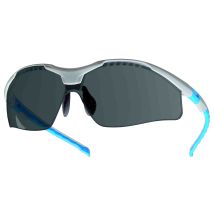Tector – Schutzbrille EN 166 – grau getönte Sichtscheibe – antikratzbeschichtet – gummierte Bügel – elastischer Nasenbügel