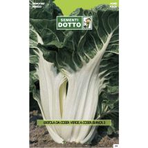 Sementi Extrabieta Verde Costa Bianca 3