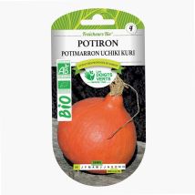 Semillas De Calabaza Potimarron Uchiki Kuri Bio Los Dedos Verdes