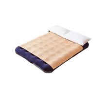 Neo Double Raised Flocked Airbed Inflatable Guest Camping Blow Up Mattress Air Bed With Electric Air Pump