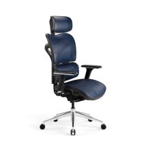 Chaise Ergonomique Diablo V-commander : Noire-bleue