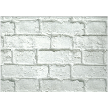 Rivestimento Parete '''plastonda Decor''' 50x100cm Muro (8015)