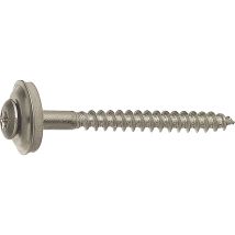 Viti a testa cilindrica in acciaio inox Torx 20 – Disco di tenuta 15 mm – 2 viti speciali Aldicht – DRESSELHAUS