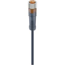 Lumberg Automation - 18213-1 Sensor-/aktor-steckverbinder, Konfektioniert M8 Buchse, Gerade 5.00 M Pol