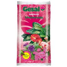 Terriccio universale 20 litri – 65% torba di sfagno – Gesal