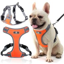 Astro Orangefarbenes Hundetrainingsgeschirr, Größe S
