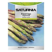Semi di asparagi da giardino – Varietà a ciclo precoce – Profondità di impianto 2 cm – Distanze di impianto 30 cm