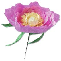 Sizzix Thinlits Die Set 5pk Wild Peony Di Lisa Jones, 664926, Multicolor, Taglia Unica