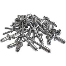500 Rivets Alu Tete Standard De 4.8 X 10 Tige Acier