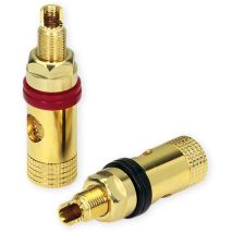 Dynavox Bananeneinbaubuchse Pro V, 2er-set, Vergoldet