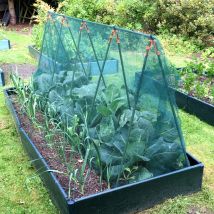 Gardenskill - Super Cloche Strawberry Protection Cage With Bird Netting - 2.4m X 0.75m X 1m High