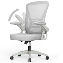 Naspaluro - Office Chair Ergonomic - Bigzzia Desk Chair With 90° Flip-up Armrest Lumbar Support - Executive Swivel Computer Chair - Gray